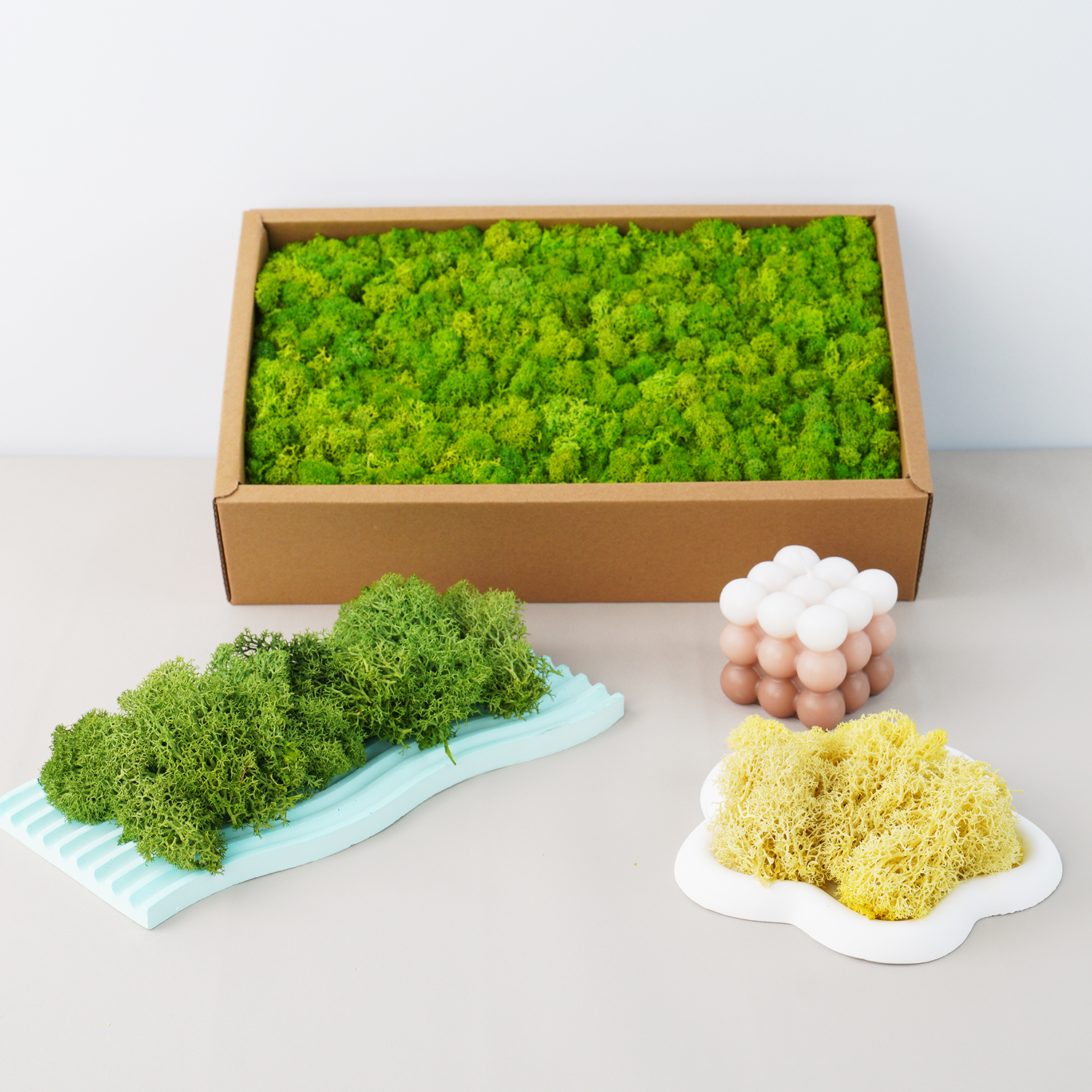20g Artificial Green Plants Et - Terrarium Moss Art ulasan dan harga
