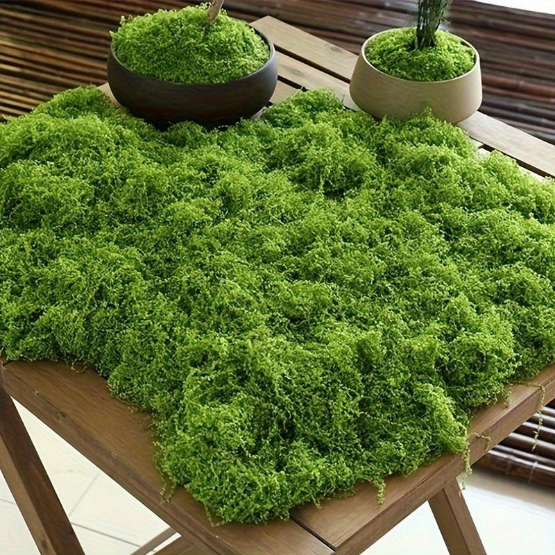 Green Fake Moss DIY Crafts Gra - Terrarium Moss Art ulasan dan harga