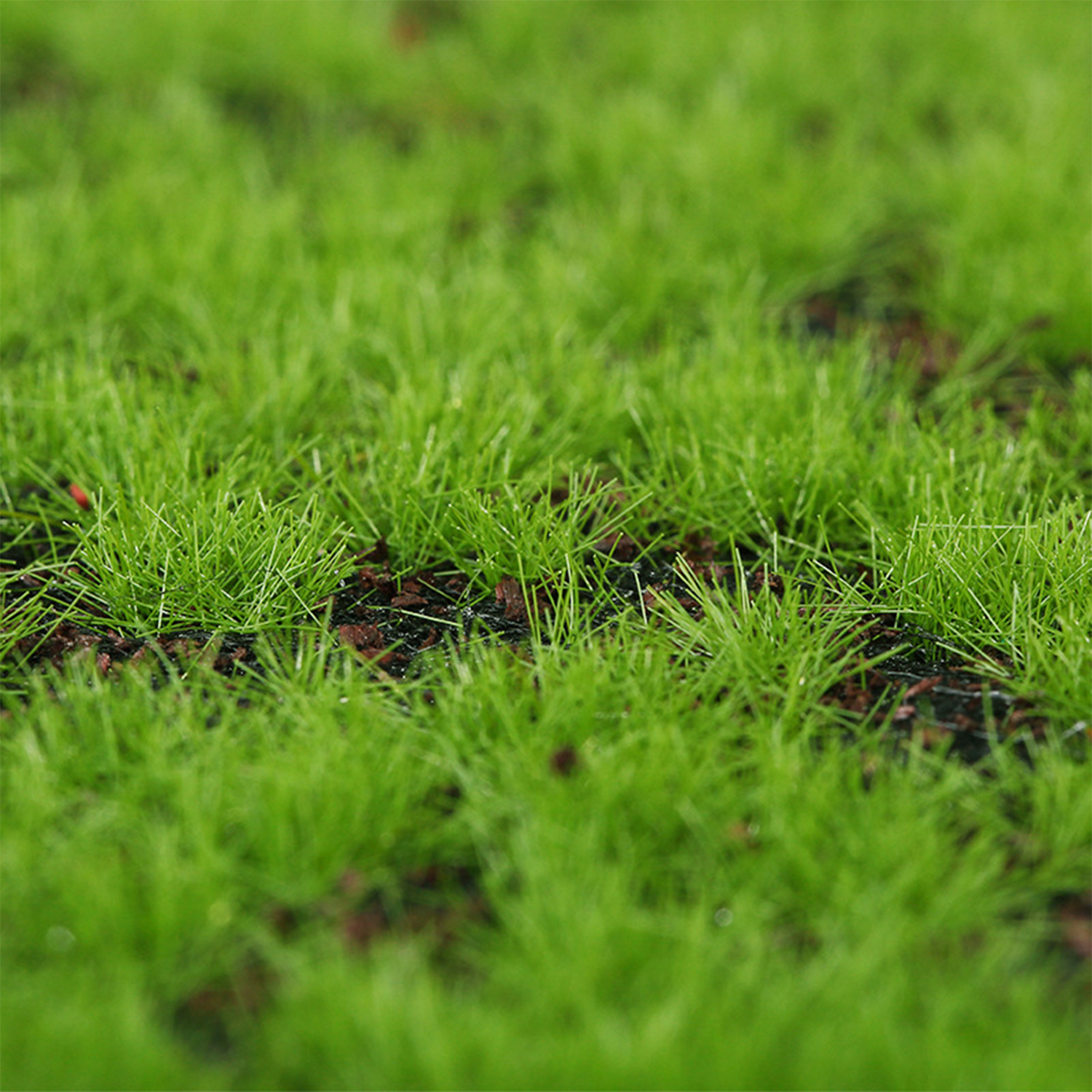 Artificial Moss Turf Simulatio - Terrarium Moss Art ulasan dan harga
